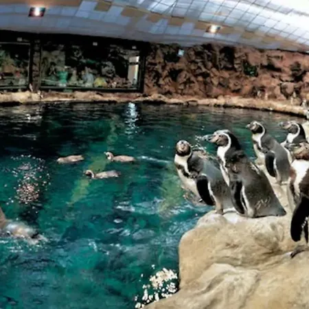 In Playa De Americas 1 아파트 *