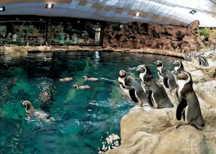 In Playa De Americas 1 Апартаменты *